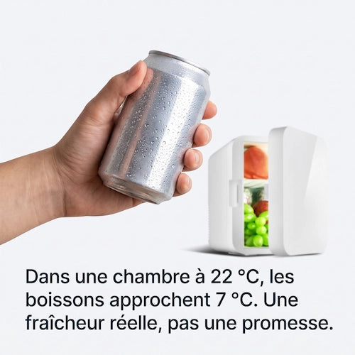Mini Frigo 8 L Chaud-Froid 12V et 220V
