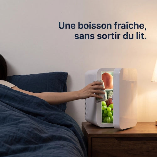 Mini Frigo 8 L Chaud-Froid 12V et 220V