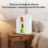 Mini Frigo 8 L Chaud-Froid 12V et 220V