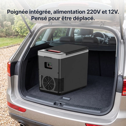 Mini Frigo 8 L Portable, Chaud-Froid pour l'Extérieur